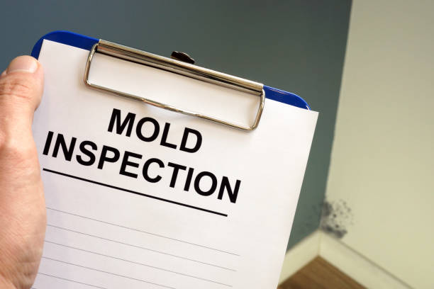 Best HVAC Mold Inspection and Cleaning  in Lafayette, TN